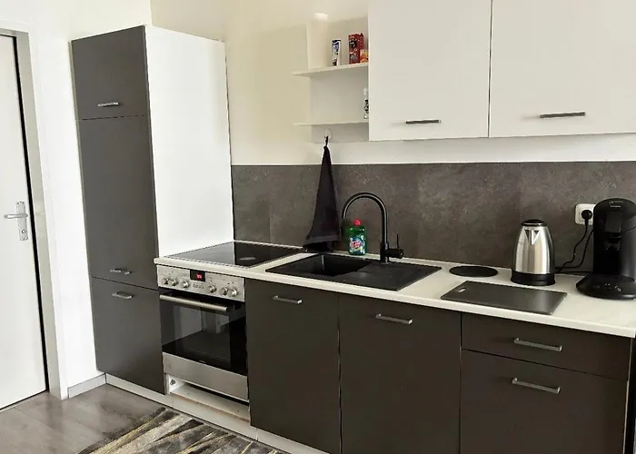 Lägenhet Gemuetliche Linz